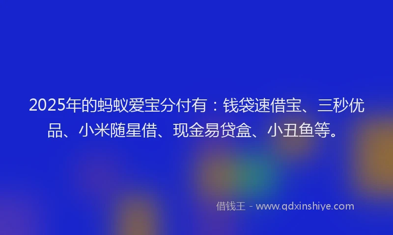 2025年的蚂蚁爱宝分付有：钱袋速借宝、三秒优品、小米随星借、现金易贷盒、小丑鱼等。