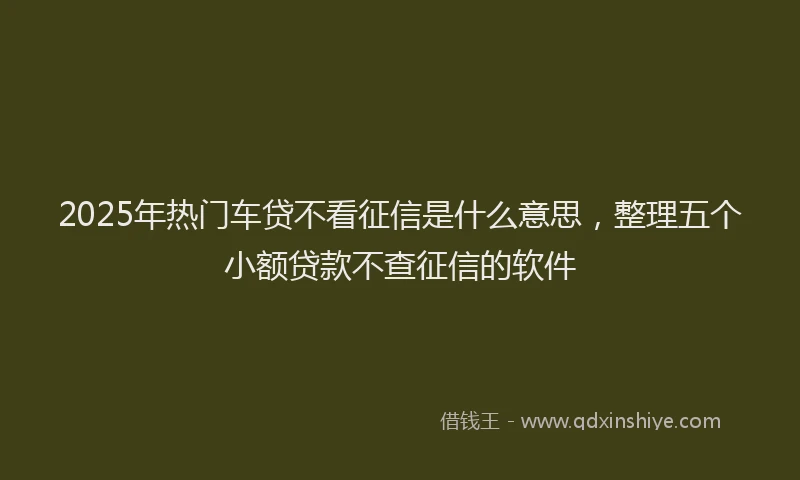 2025年热门车贷不看征信是什么意思，整理五个小额贷款不查征信的软件