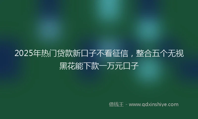 2025年热门贷款新口子不看征信,整合五个无视黑花能下款一万元口子