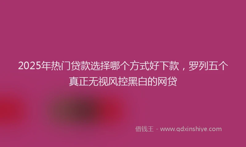 2025年热门贷款选择哪个方式好下款，罗列五个真正无视风控黑白的网贷