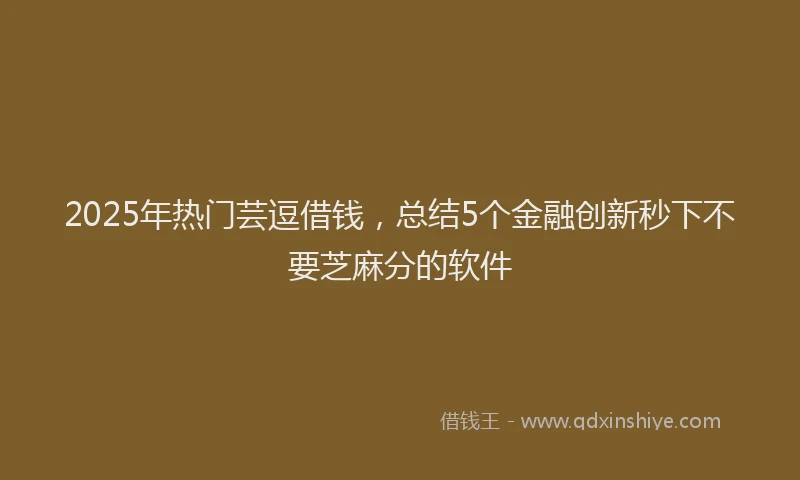 2025年热门芸逗借钱,总结5个金融创新秒下不要芝麻分的软件