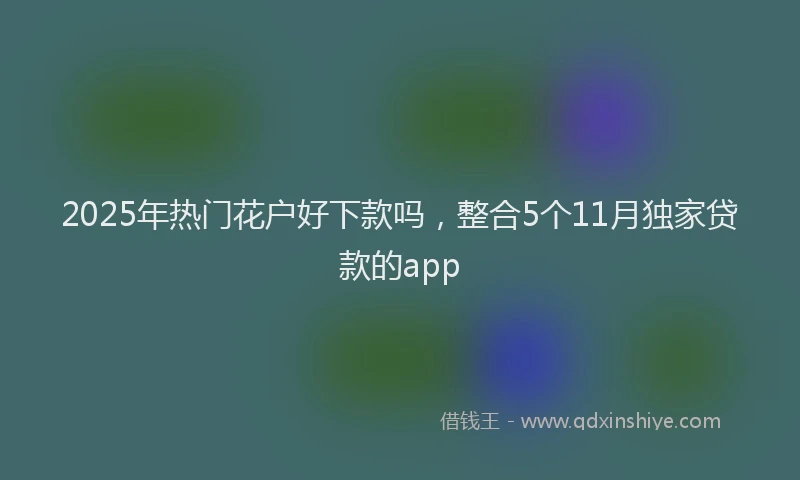 2025年热门花户好下款吗,整合5个11月独家贷款的app