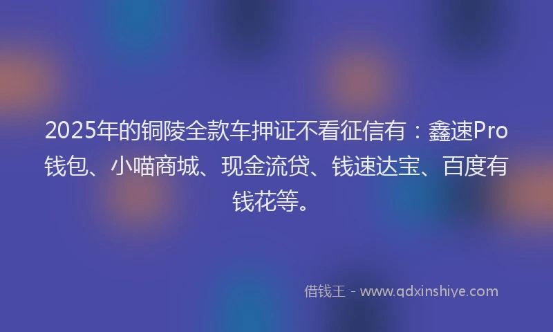 2025年的铜陵全款车押证不看征信有:鑫速Pro钱包、小喵商城、现金流贷、钱速达宝、百度有钱花等。