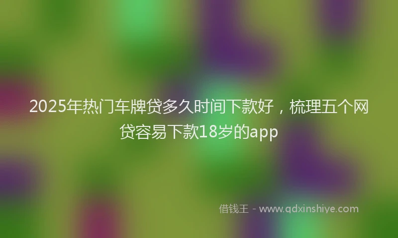 2025年热门车牌贷多久时间下款好,梳理五个网贷容易下款18岁的app