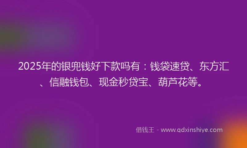 2025年的银兜钱好下款吗有：钱袋速贷、东方汇、信融钱包、现金秒贷宝、葫芦花等。