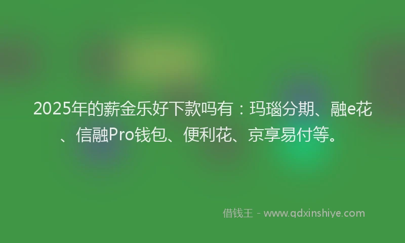 2025年的薪金乐好下款吗有:玛瑙分期、融e花、信融Pro钱包、便利花、京享易付等。