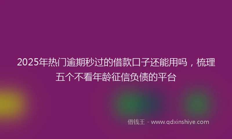 2025年热门逾期秒过的借款口子还能用吗，梳理五个不看年龄征信负债的平台