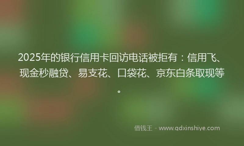 2025年的银行信用卡回访电话被拒有：信用飞、现金秒融贷、易支花、口袋花、京东白条取现等。