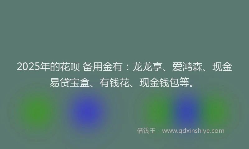 2025年的花呗 备用金有:龙龙享、爱鸿森、现金易贷宝盒、有钱花、现金钱包等。