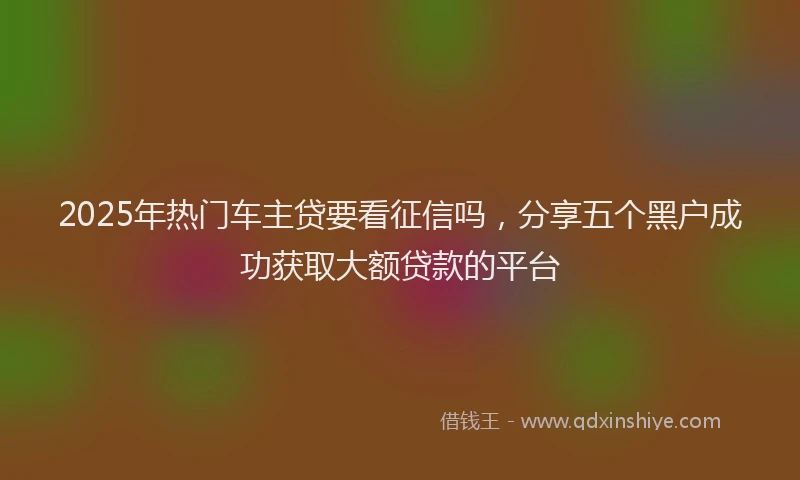 2025年热门车主贷要看征信吗,分享五个黑户成功获取大额贷款的平台