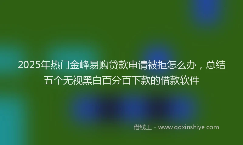 2025年热门金峰易购贷款申请被拒怎么办，总结五个无视黑白百分百下款的借款软件