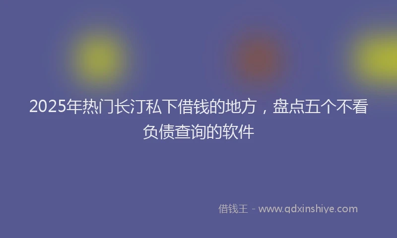 2025年热门长汀私下借钱的地方,盘点五个不看负债查询的软件