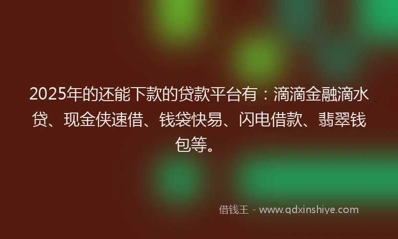 2025年的还能下款的贷款平台有：滴滴金融滴水贷、现金侠速借、钱袋快易、闪电借款、翡翠钱包等。