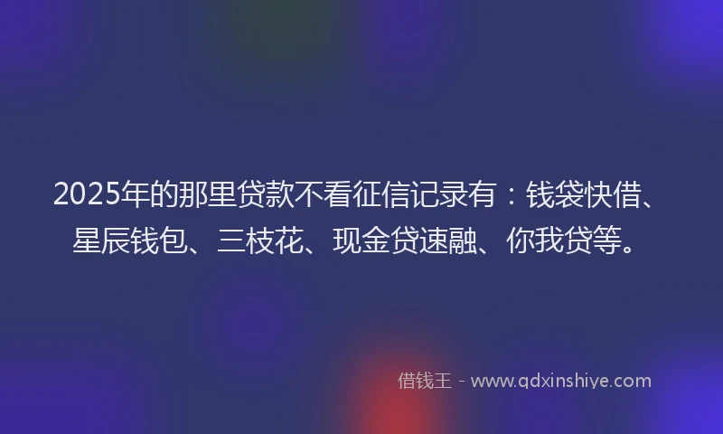 2025年的那里贷款不看征信记录有:钱袋快借、星辰钱包、三枝花、现金贷速融、你我贷等。