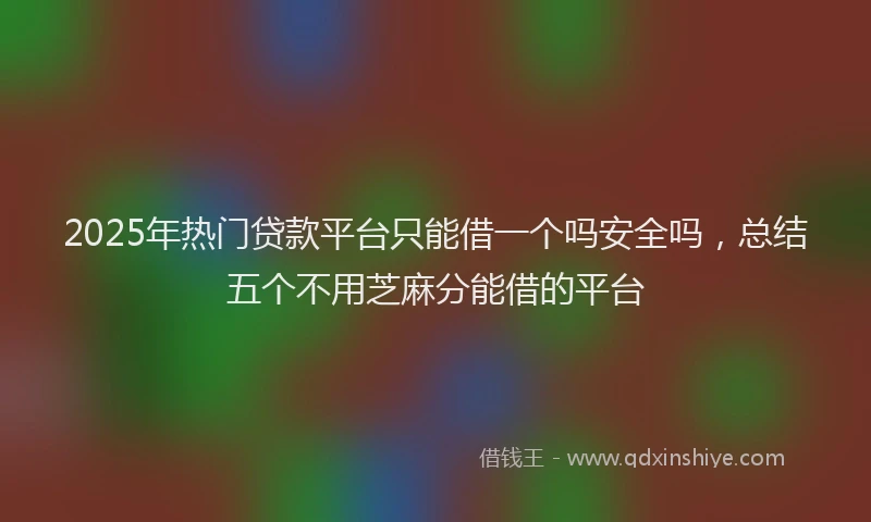 2025年热门贷款平台只能借一个吗安全吗,总结五个不用芝麻分能借的平台
