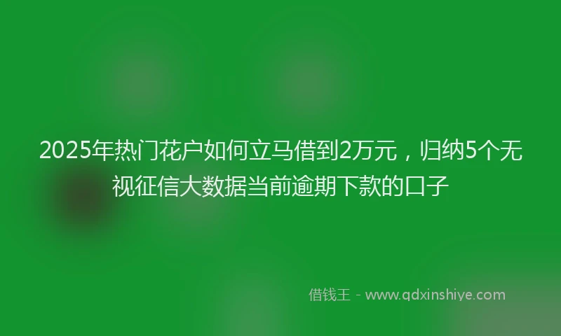2025年热门花户如何立马借到2万元，归纳5个无视征信大数据当前逾期下款的口子