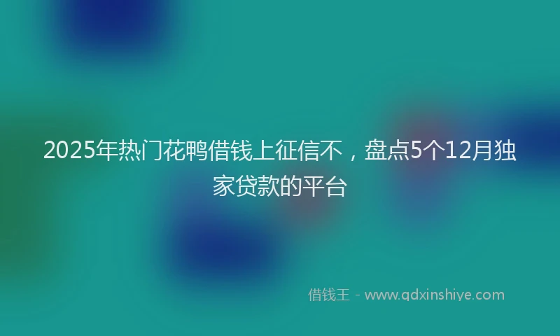 2025年热门花鸭借钱上征信不，盘点5个12月独家贷款的平台