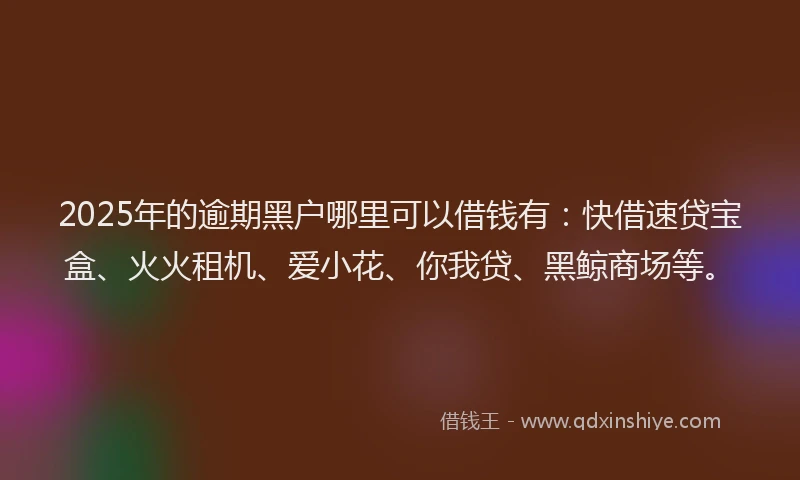 2025年的逾期黑户哪里可以借钱有:快借速贷宝盒、火火租机、爱小花、你我贷、黑鲸商场等。