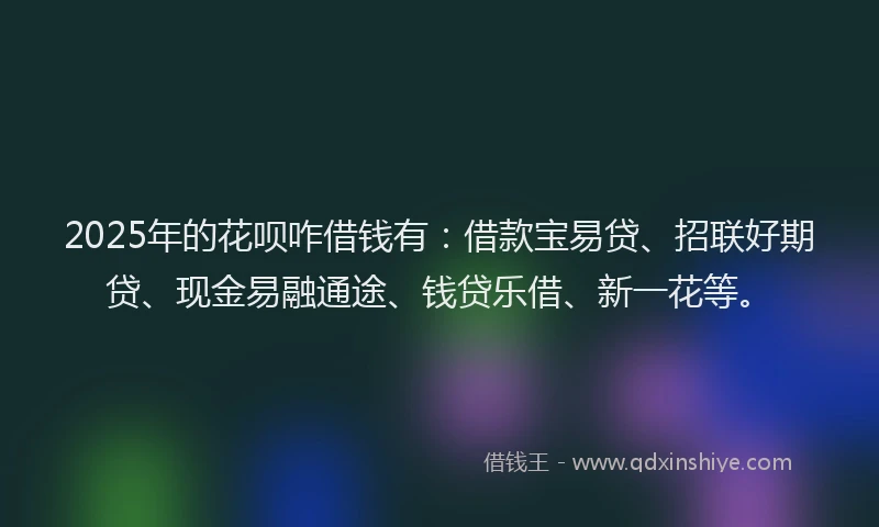2025年的花呗咋借钱有：借款宝易贷、招联好期贷、现金易融通途、钱贷乐借、新一花等。