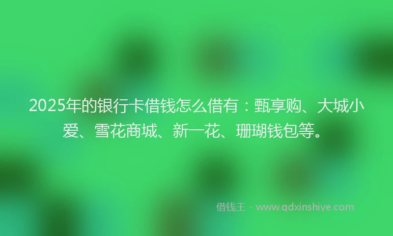 2025年的银行卡借钱怎么借有:甄享购、大城小爱、雪花商城、新一花、珊瑚钱包等。