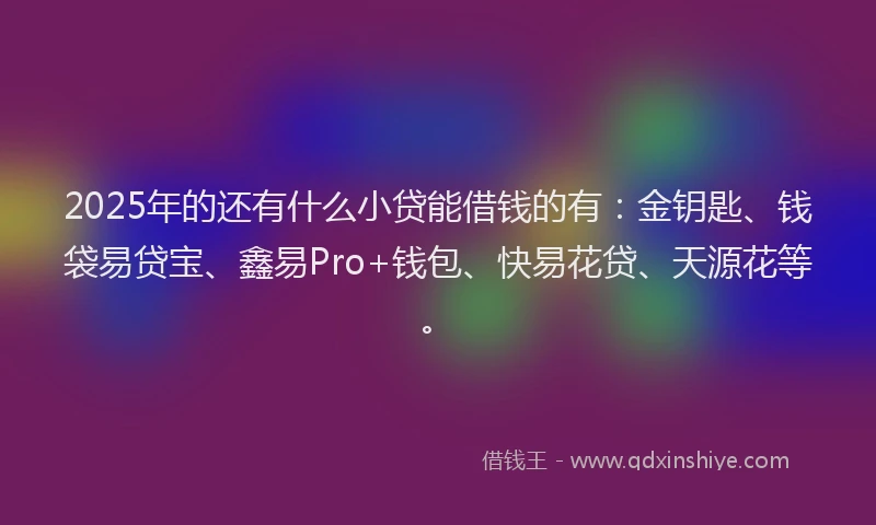 2025年的还有什么小贷能借钱的有：金钥匙、钱袋易贷宝、鑫易Pro+钱包、快易花贷、天源花等。