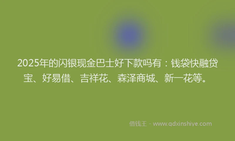 2025年的闪银现金巴士好下款吗有:钱袋快融贷宝、好易借、吉祥花、森泽商城、新一花等。