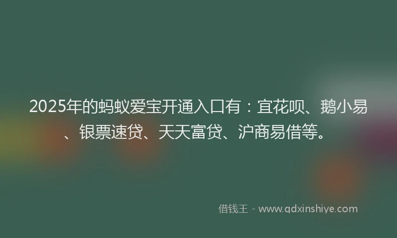 2025年的蚂蚁爱宝开通入口有：宜花呗、鹅小易、银票速贷、天天富贷、沪商易借等。