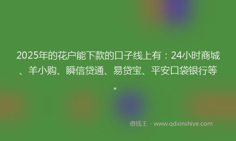 2025年的花户能下款的口子线上有：24小时商城、羊小购、瞬信贷通、易贷宝、平安口袋银行等。