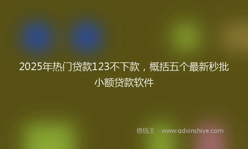 2025年热门贷款123不下款,概括五个最新秒批小额贷款软件