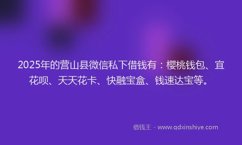 2025年的营山县微信私下借钱有：樱桃钱包、宜花呗、天天花卡、快融宝盒、钱速达宝等。