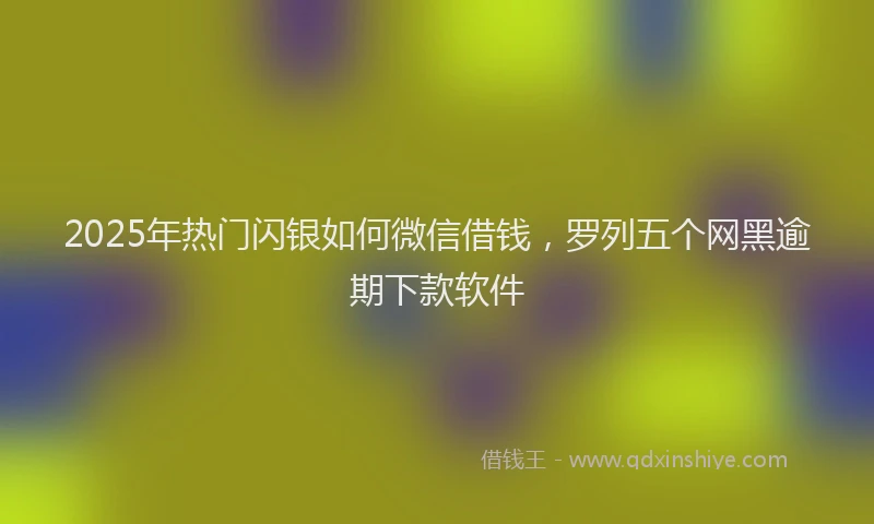 2025年热门闪银如何微信借钱，罗列五个网黑逾期下款软件