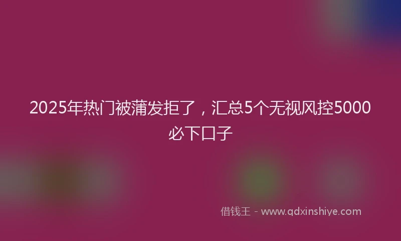 2025年热门被蒲发拒了，汇总5个无视风控5000必下口子