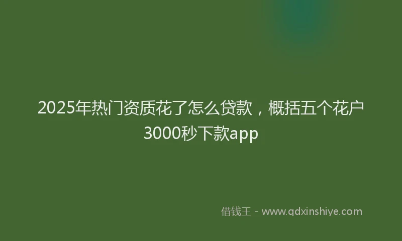2025年热门资质花了怎么贷款,概括五个花户3000秒下款app