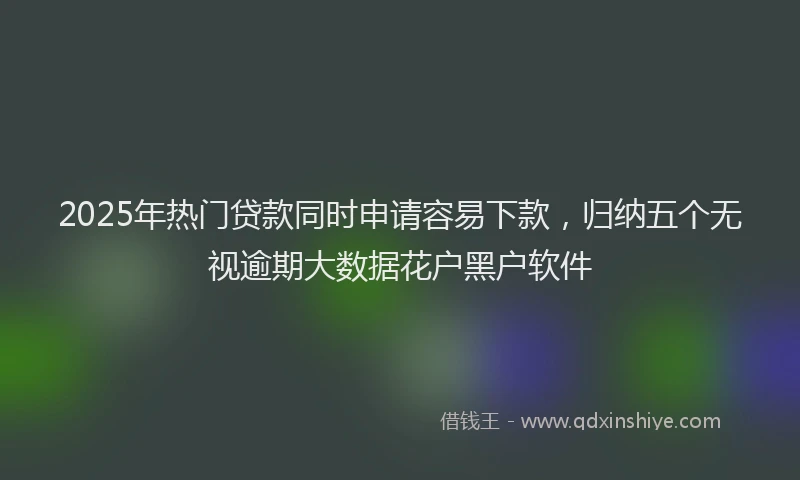 2025年热门贷款同时申请容易下款,归纳五个无视逾期大数据花户黑户软件