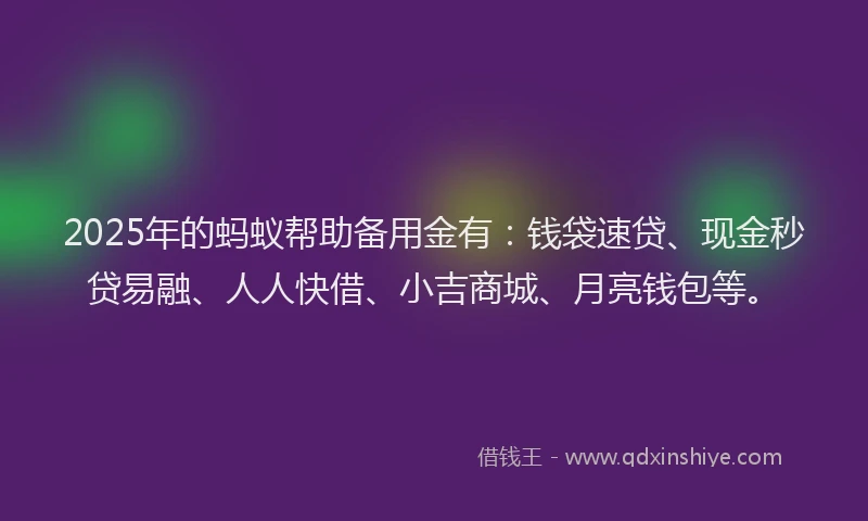 2025年的蚂蚁帮助备用金有：钱袋速贷、现金秒贷易融、人人快借、小吉商城、月亮钱包等。