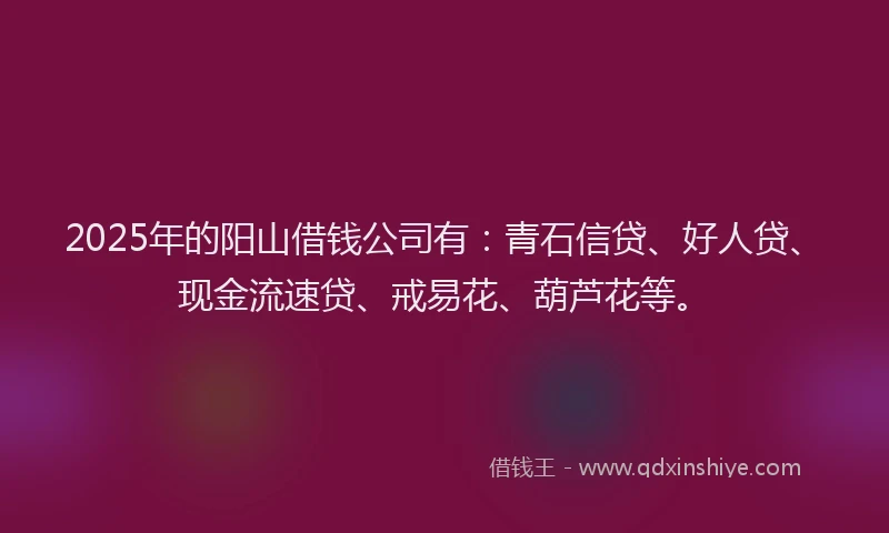 2025年的阳山借钱公司有：青石信贷、好人贷、现金流速贷、戒易花、葫芦花等。
