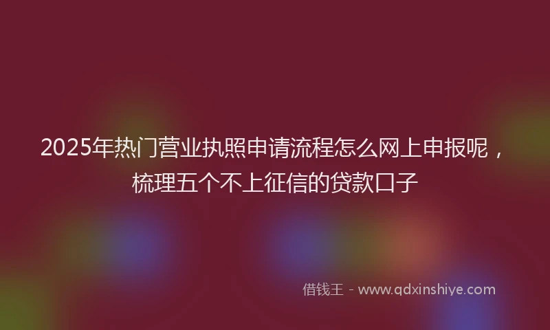 2025年热门营业执照申请流程怎么网上申报呢，梳理五个不上征信的贷款口子