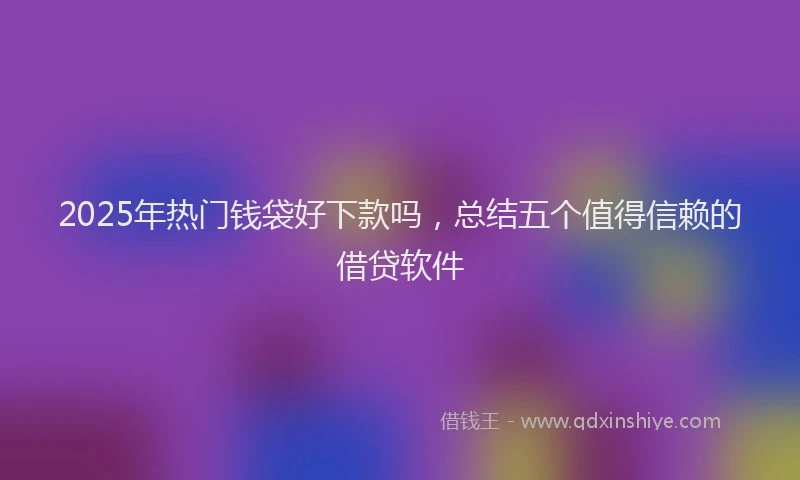 2025年热门钱袋好下款吗，总结五个值得信赖的借贷软件