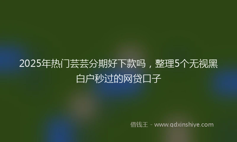 2025年热门芸芸分期好下款吗，整理5个无视黑白户秒过的网贷口子