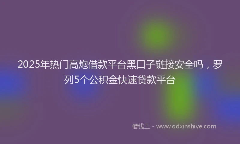 2025年热门高炮借款平台黑口子链接安全吗，罗列5个公积金快速贷款平台