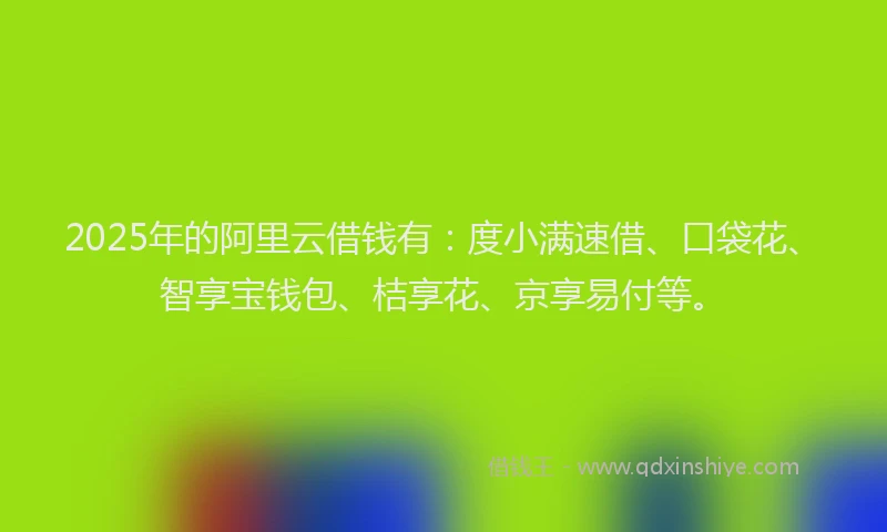 2025年的阿里云借钱有：度小满速借、口袋花、智享宝钱包、桔享花、京享易付等。