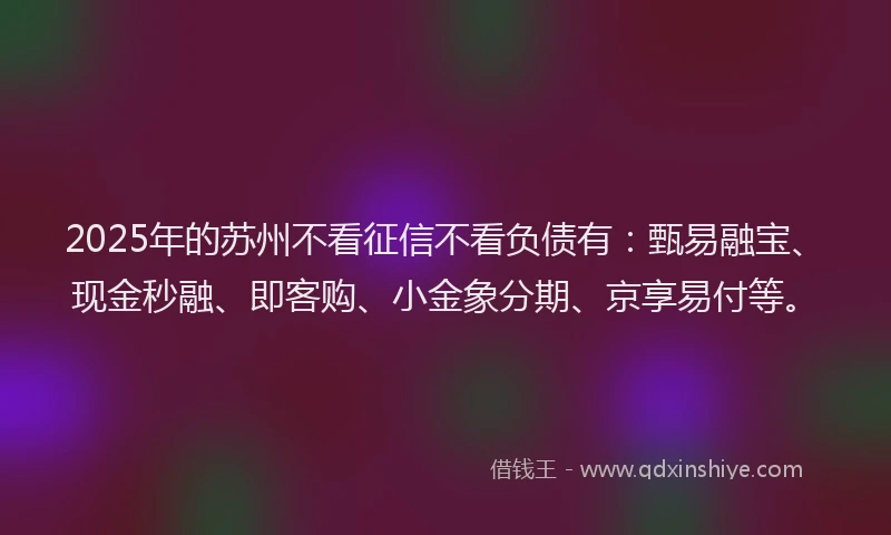 2025年的苏州不看征信不看负债有：甄易融宝、现金秒融、即客购、小金象分期、京享易付等。
