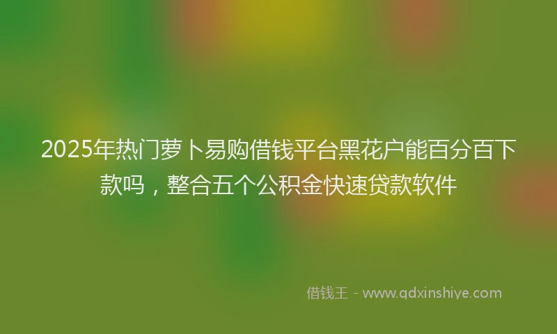 2025年热门萝卜易购借钱平台黑花户能百分百下款吗，整合五个公积金快速贷款软件
