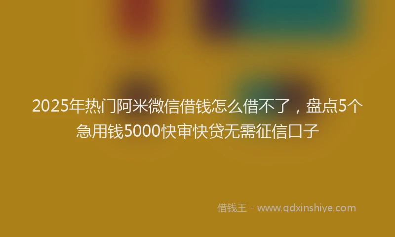 2025年热门阿米微信借钱怎么借不了，盘点5个急用钱5000快审快贷无需征信口子