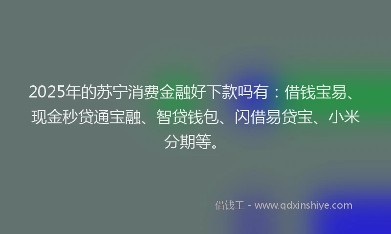 2025年的苏宁消费金融好下款吗有：借钱宝易、现金秒贷通宝融、智贷钱包、闪借易贷宝、小米分期等。