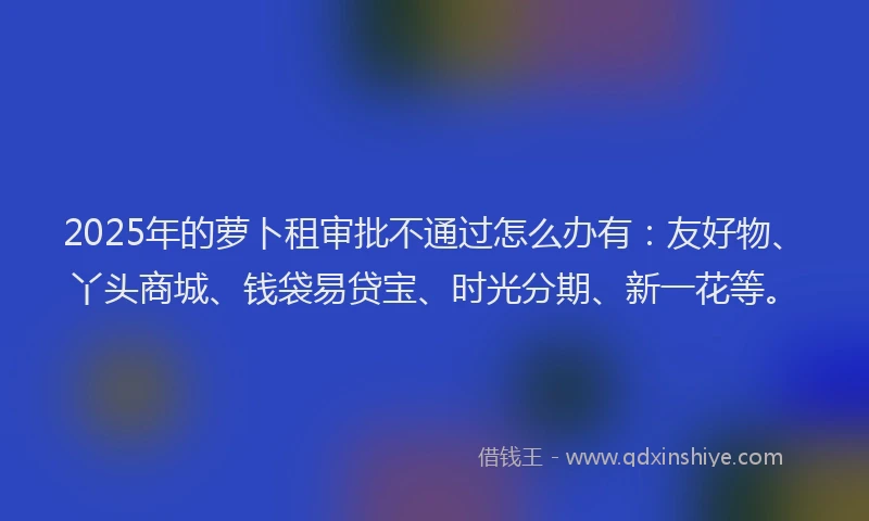 2025年的萝卜租审批不通过怎么办有：友好物、丫头商城、钱袋易贷宝、时光分期、新一花等。