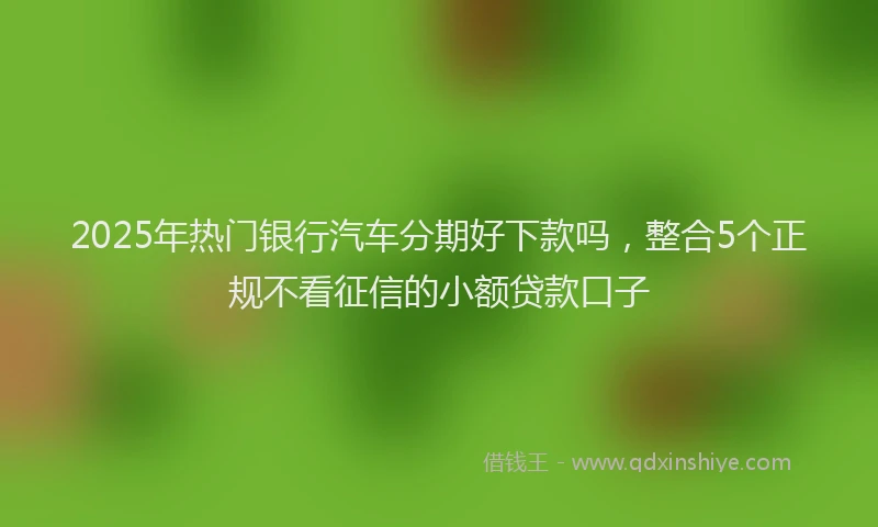 2025年热门银行汽车分期好下款吗，整合5个正规不看征信的小额贷款口子