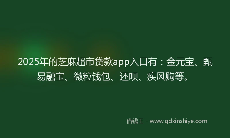 2025年的芝麻超市贷款app入口有：金元宝、甄易融宝、微粒钱包、还呗、疾风购等。