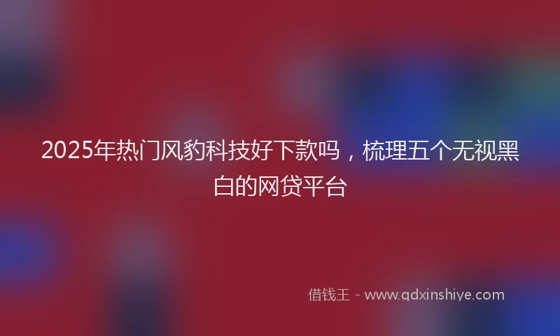 2025年热门风豹科技好下款吗，梳理五个无视黑白的网贷平台