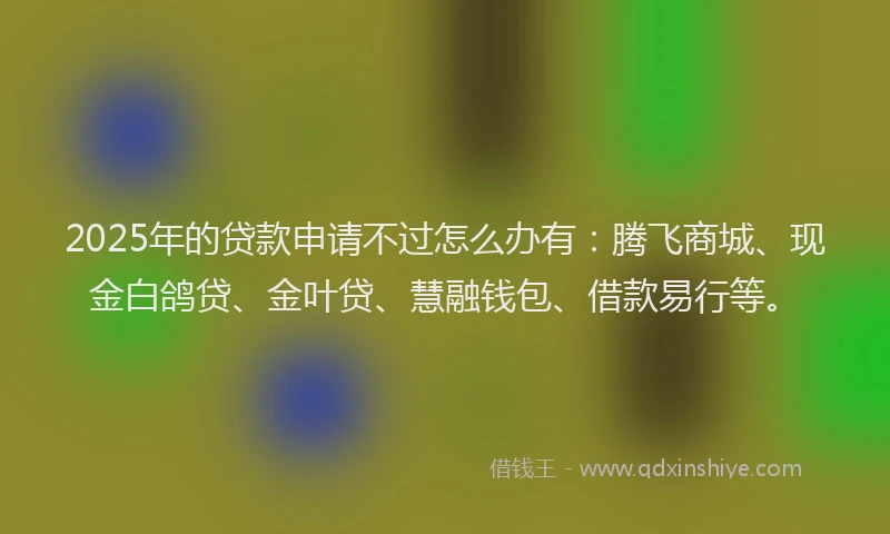 2025年的贷款申请不过怎么办有:腾飞商城、现金白鸽贷、金叶贷、慧融钱包、借款易行等。